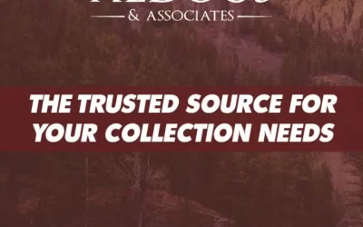 The Source For Your Collections Needs